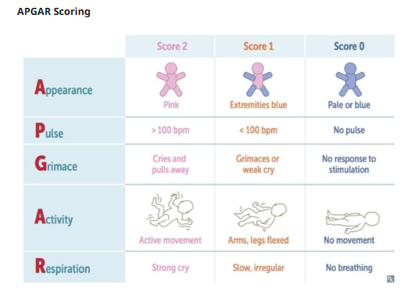 VALT 6.3 Manual-Observe Eval Image.png